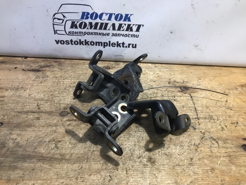 Петля двери Nissan Serena 2006 C25 MR20DE перед