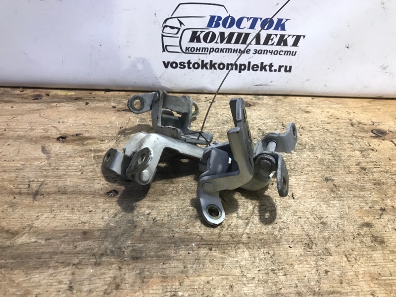 Петля двери Nissan Lafesta 2006 NB30 MR20DE перед