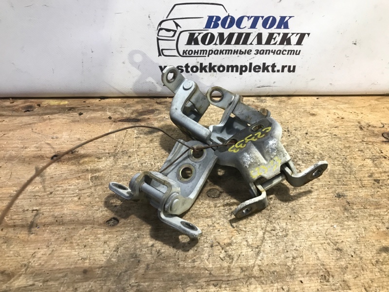 Петля двери Nissan Cube 2004 BZ11 CR14DE перед