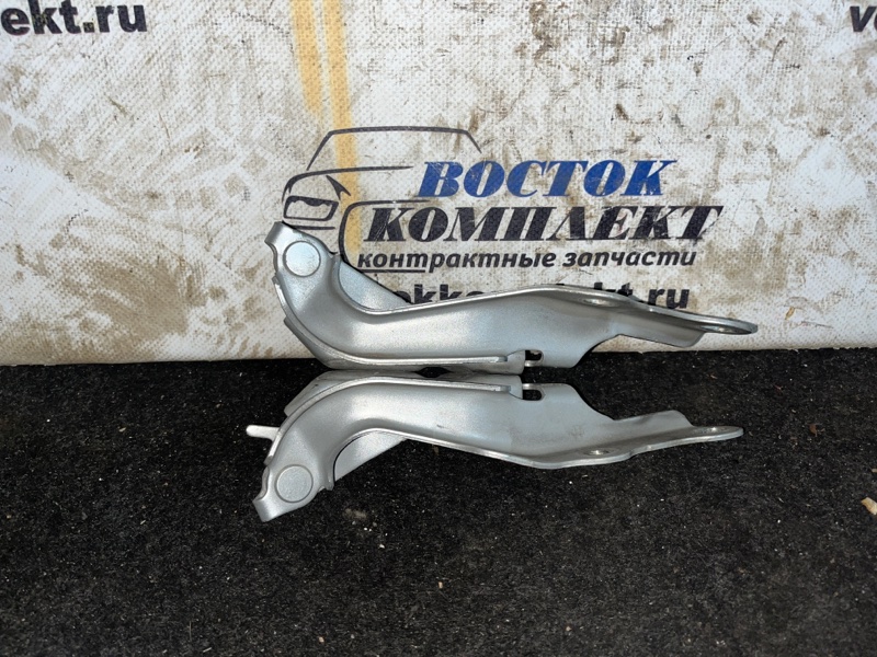 Петля капота Toyota Caldina 2005 AZT241W 1AZ-FSE