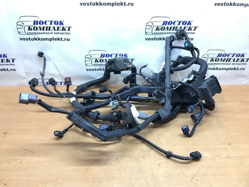 Проводка двигателя Honda Elysion RR2 K24A