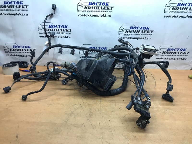 Проводка двигателя Mazda Demio 2007 DE3FS ZJ-VE