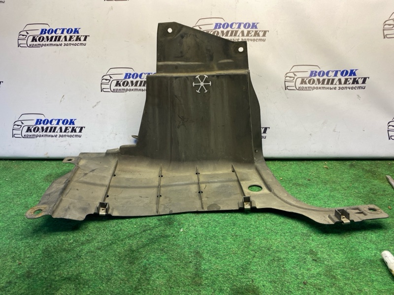 Защита ДВС Honda Insight ZE2 LDA прав