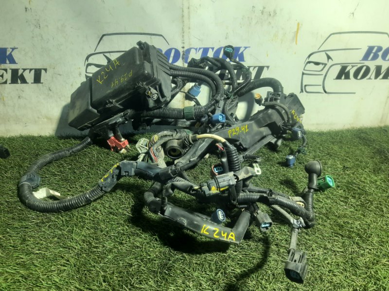 Проводка двигателя Honda Elysion 2010 RR1 K24A