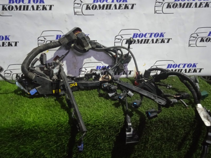 Проводка двигателя Honda Fit 2011 GE6 L13A