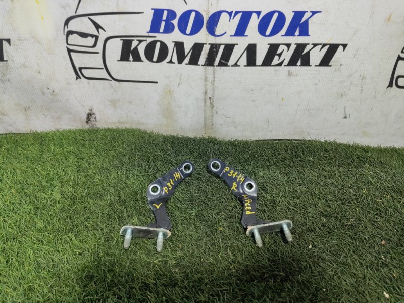 Петля двери багажника Honda Freed 2010 GB3 L15A