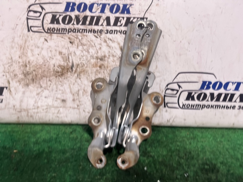 Петля капота Toyota Sienta 2003 NCP81G 1NZ-FE