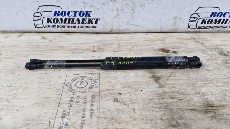 Амортизатор капота BMW 320i WBAPG360I0 N43B20AA