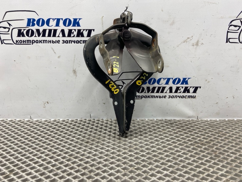 Петля капота Toyota Porte 2010 NNP10 2NZ-FE