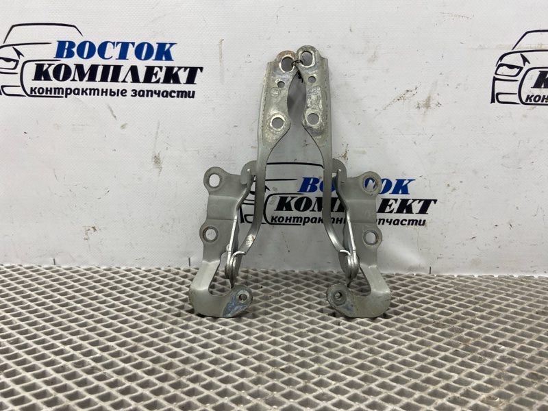 Петля капота Toyota Wish 2006 ANE11W 1AZ-FSE