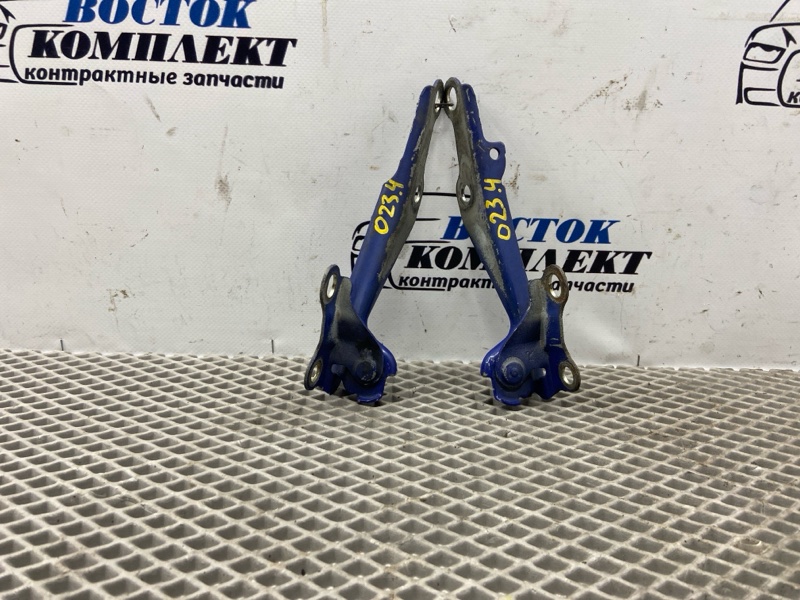 Петля капота Toyota Will Cypha 2005 NCP75 1NZ-FE