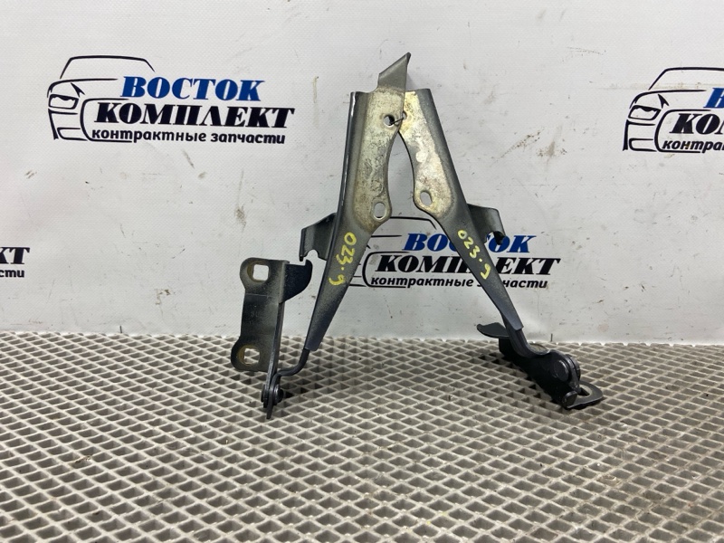 Петля капота Nissan Cube BGZ11 CR14DE