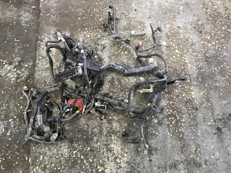 Проводка двигателя Toyota Estima 2007 GSR50W 2GR-FE