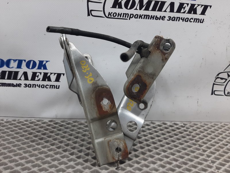 Петля капота Honda Odyssey 2002 RA6 F23A