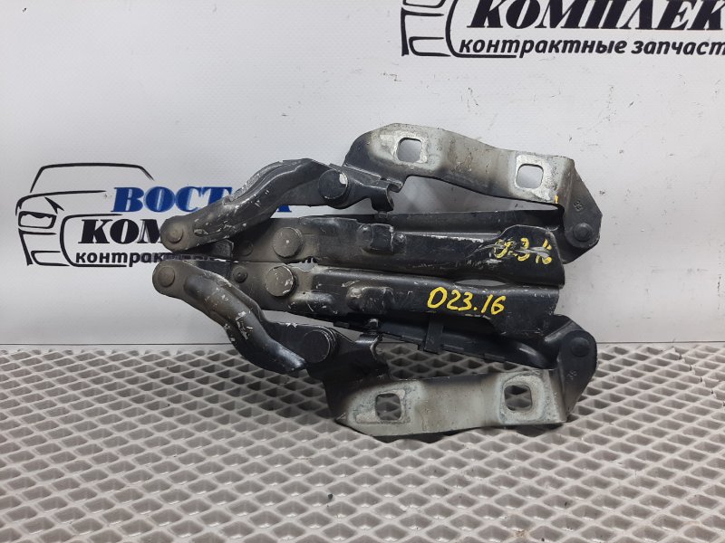 Петля капота Volkswagen New Beetle WVWZZZ9C24M505025 AZJ-723235