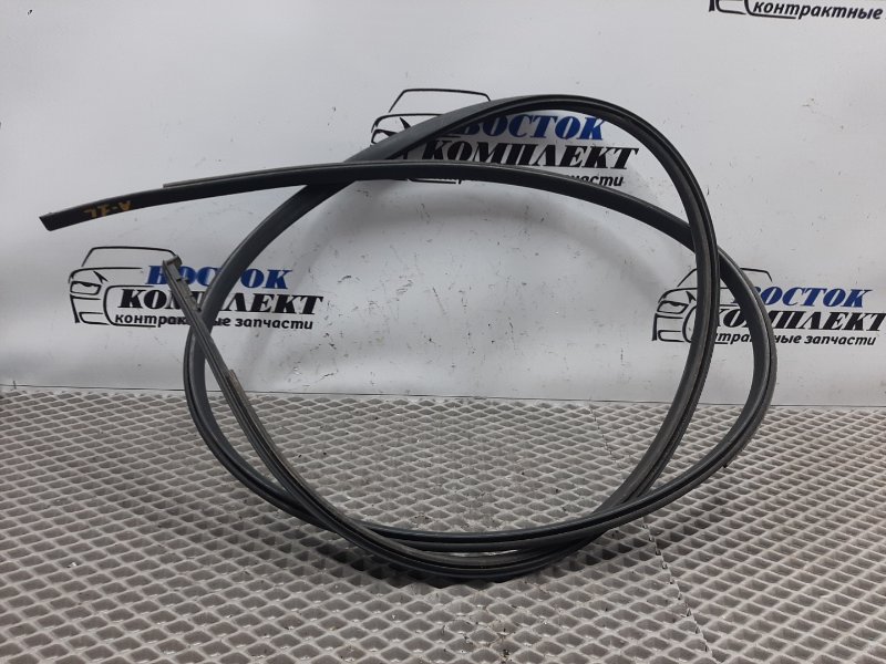 Молдинг крыши Toyota Wish ZNE10G 1ZZ-FE лев