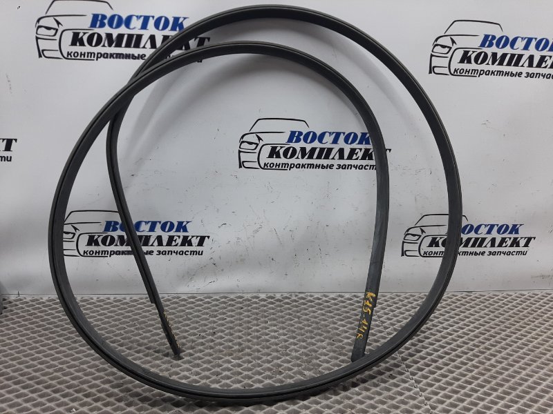 Молдинг крыши Toyota Isis 2005 ANM15W 1AZ-FSE прав