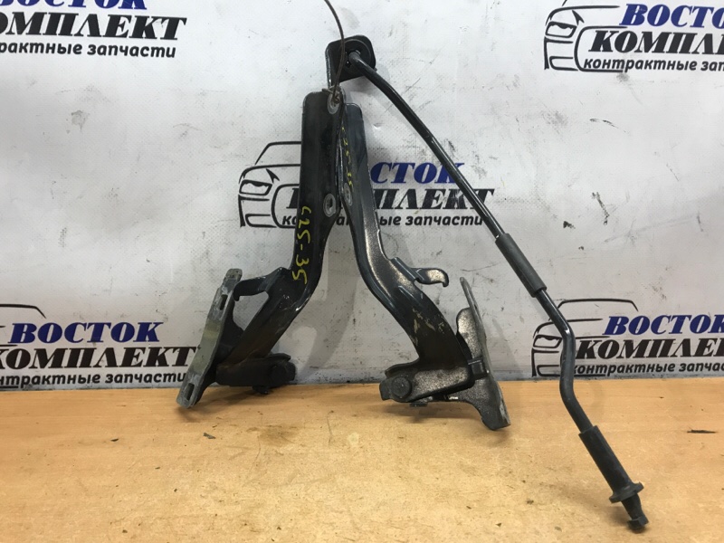 Петля капота Nissan Cube 2012 Z12 HR15DE