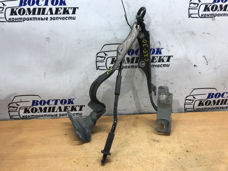 Петля капота Nissan Cube 2010 Z12 HR15DE