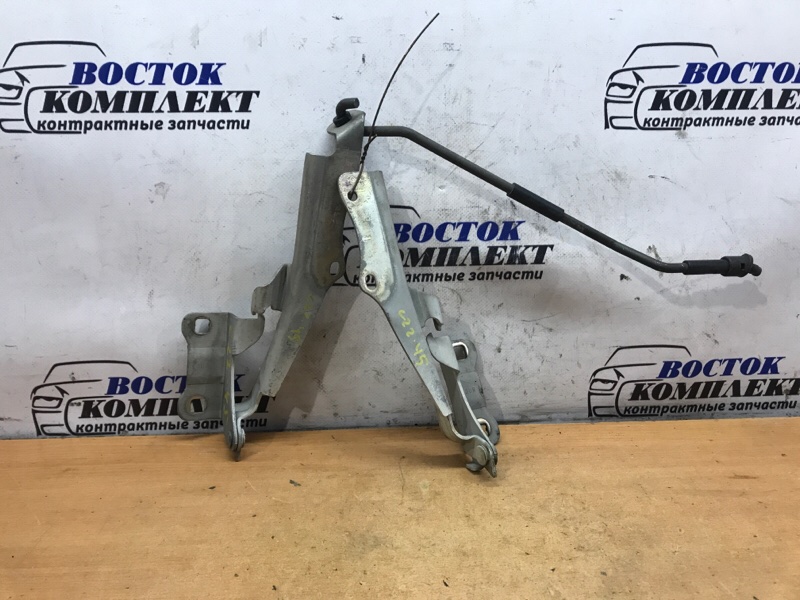 Петля капота Nissan Cube 2004 BZ11 CR14DE