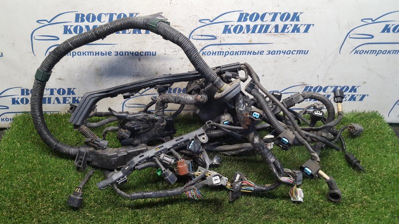 Проводка двигателя Honda Mobilio 2002 GB1 L15A