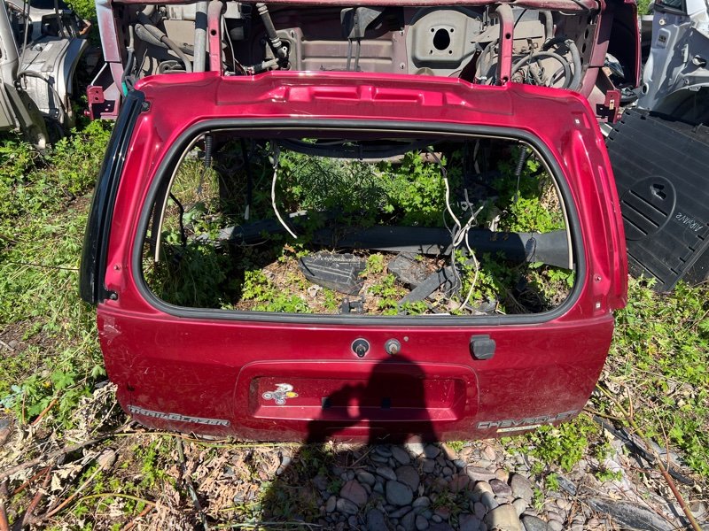 Дверь задняя багажника Chevrolet Trailblazer KC LL8