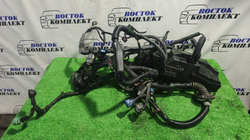 Проводка ДВС Honda Elysion 2004 RR1 K24A
