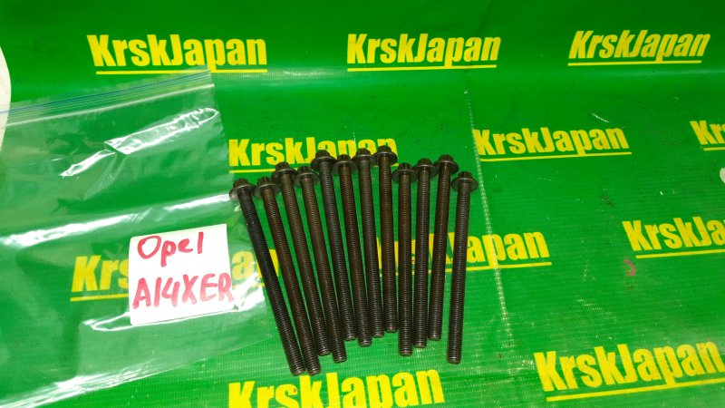Болт головки блока цилиндров Opel Astra 2010 P10 A 14 XER 55566811 контрактная