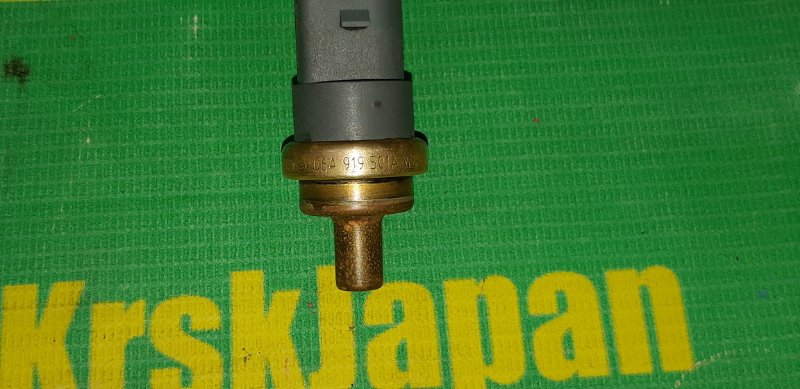 Датчик температуры охлаждающей жидкости Passat 2003 3B3 AZM