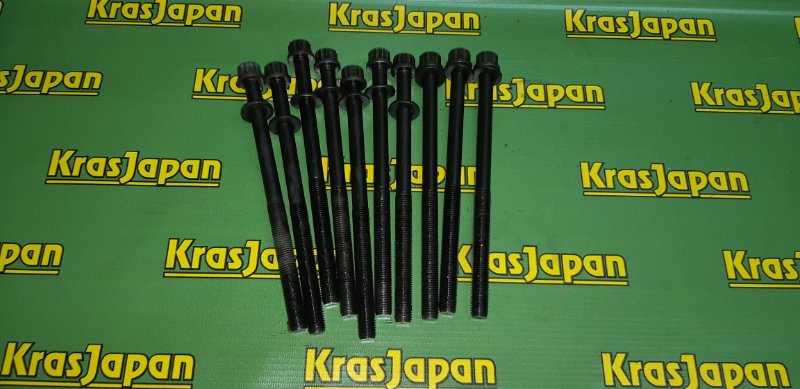 Болт головки блока цилиндров Hyundai Santa Fe 2003 SM D4EA 2232038000 контрактная