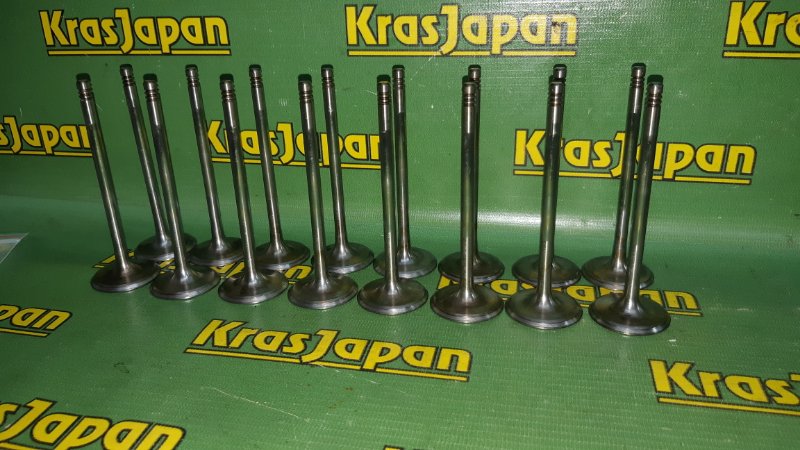 Клапан впускной X5 4.4i 2000 E53 M62 B44