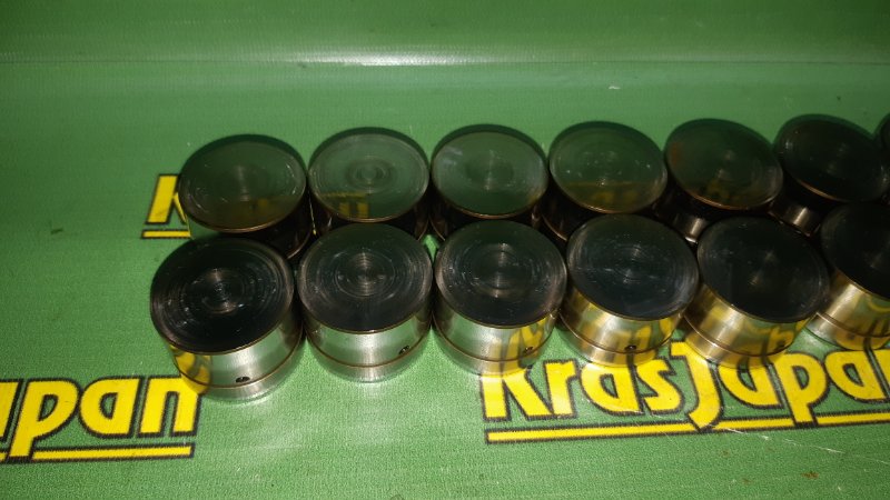 Толкатель клапана X5 4.4i 2000 E53 M62 B44 Толкатель клапана X5 4.4i 2000 E53 M62 B44