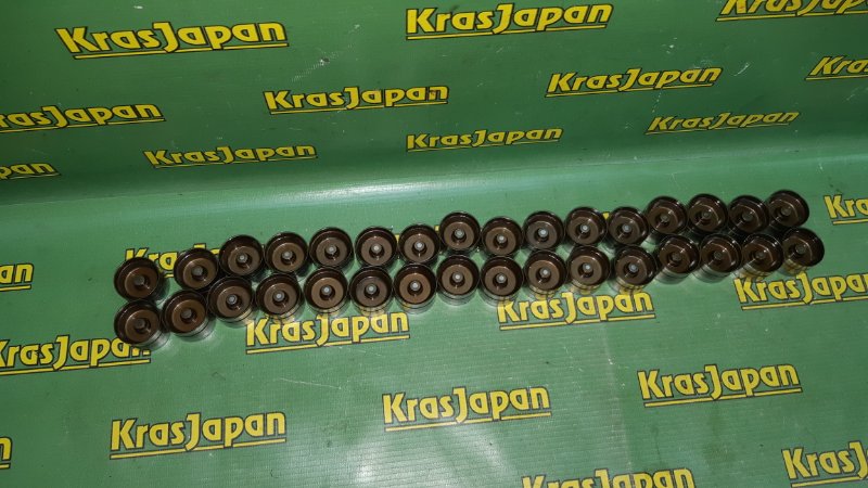 Толкатель клапана X5 4.4i 2000 E53 M62 B44 Толкатель клапана X5 4.4i 2000 E53 M62 B44