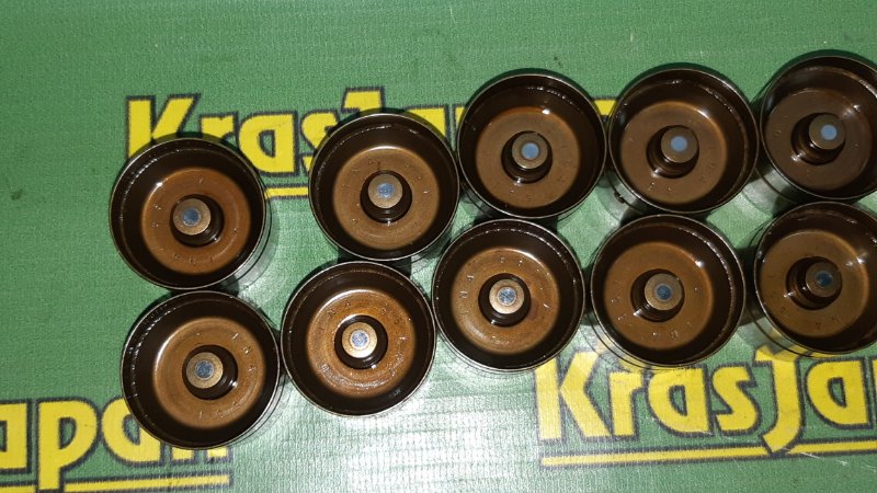 Толкатель клапана X5 4.4i 2000 E53 M62 B44 Толкатель клапана X5 4.4i 2000 E53 M62 B44