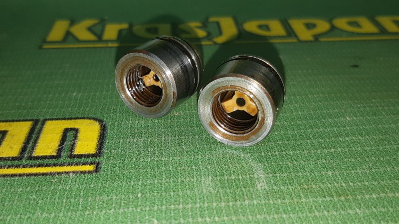 Клапан BMW X5 4.4i E53 M62 B44 Клапан BMW X5 4.4i E53 M62 B44