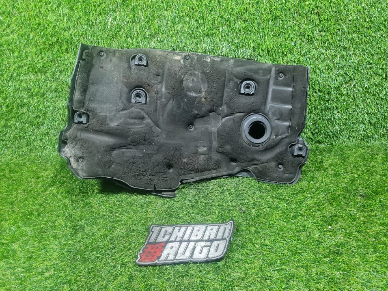 Крышка двс декоративная XF 2010 CC9 306DT