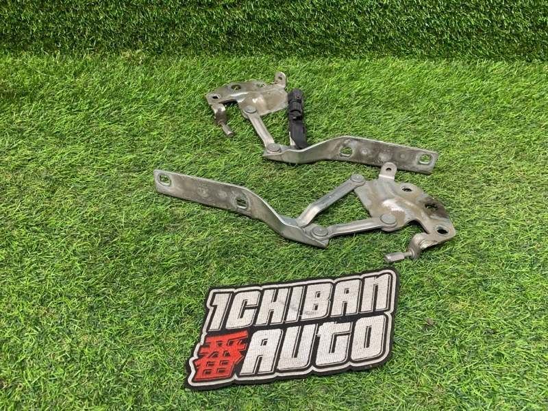 Петля капота передняя PASSAT 2006 3C2 BMP