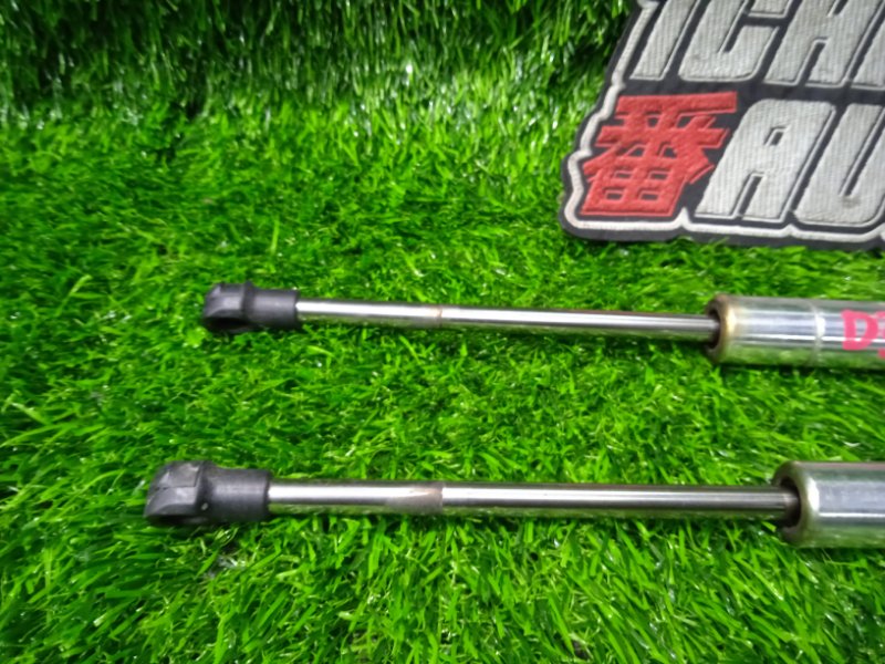 Амортизатор капота VOLKSWAGEN PHAETON 3D3 CARA Амортизатор капота VOLKSWAGEN PHAETON 3D3 CARA