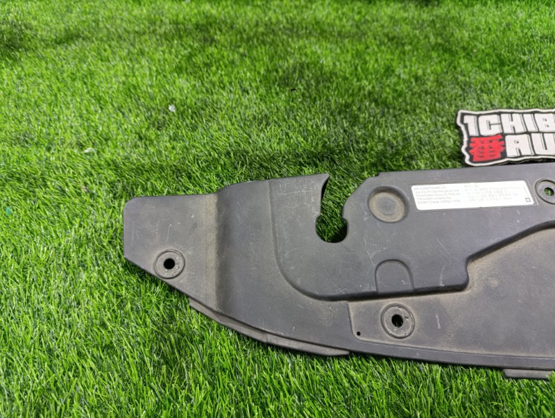 Защита замка капота ORLANDO 2014 J309 Z20D1