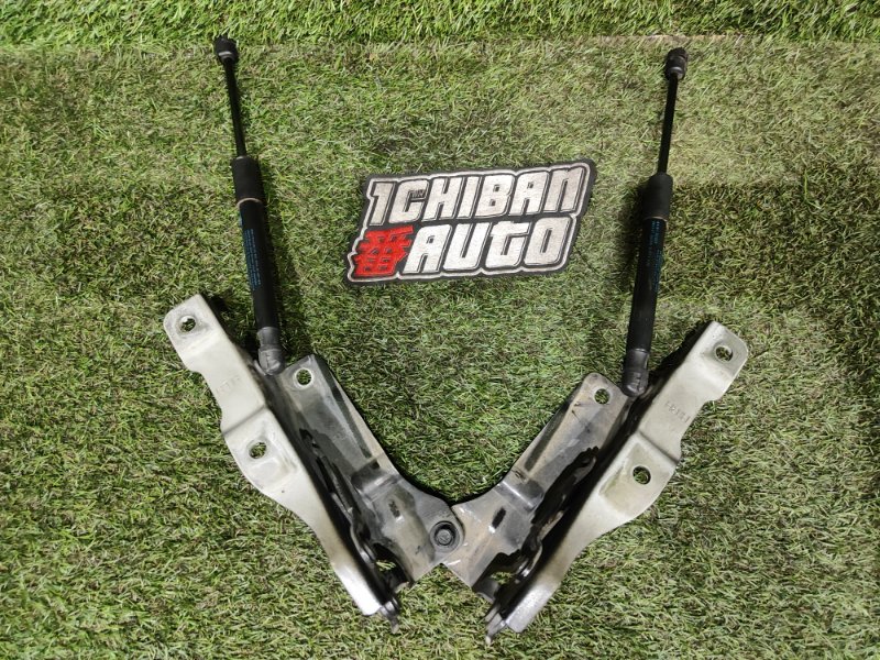 Петля капота EQ900 2015 HI G6DN Петля капота EQ900 2015 HI G6DN