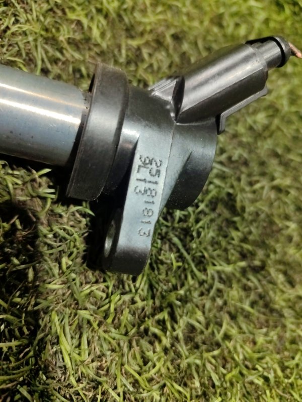 Катушка зажигания EPICA V250 X20D1