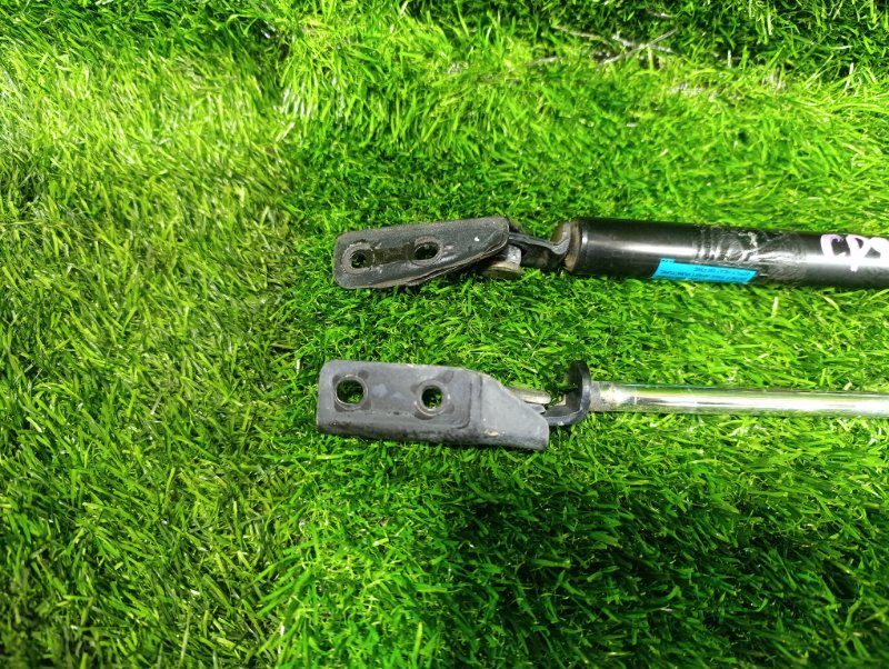 Амортизатор задней двери задний PREMACY CP8W