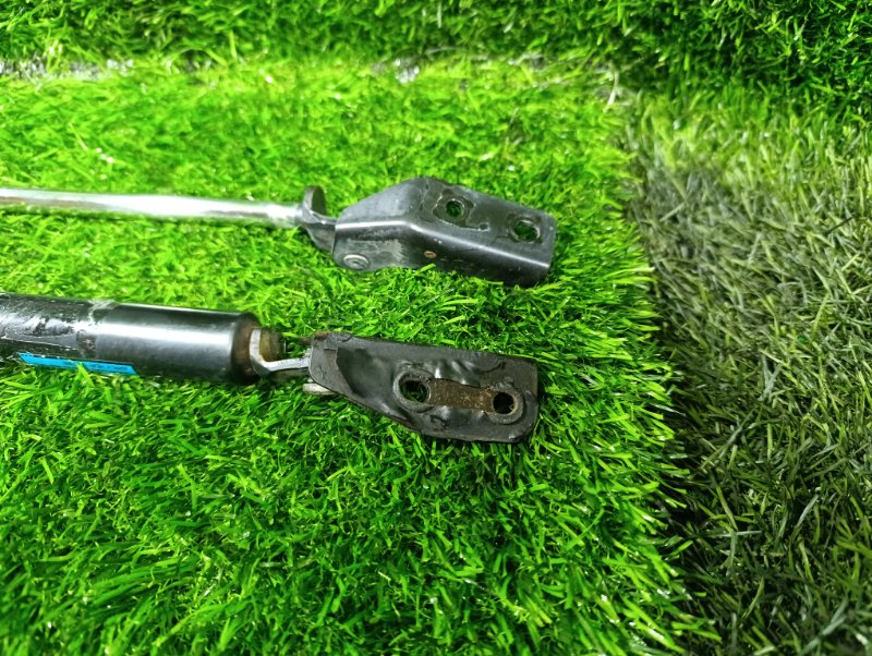 Амортизатор задней двери задний PREMACY CP8W