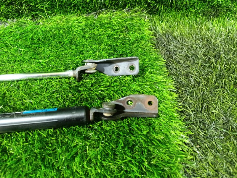 Амортизатор задней двери задний PREMACY CP8W