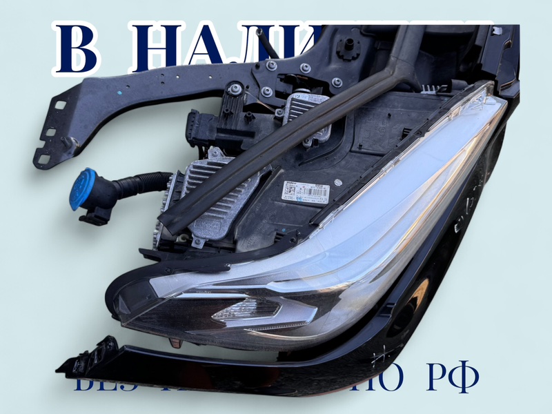 Ноускат X1 2017 F48