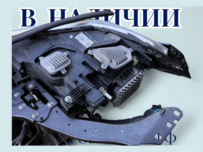 Ноускат X1 2017 F48