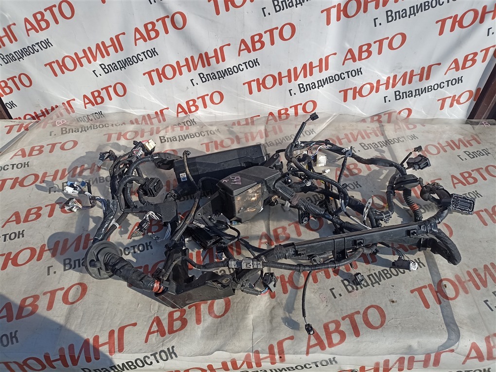 Коса под капот Toyota Camry AXVH70 A25A-FXS 2019 1544