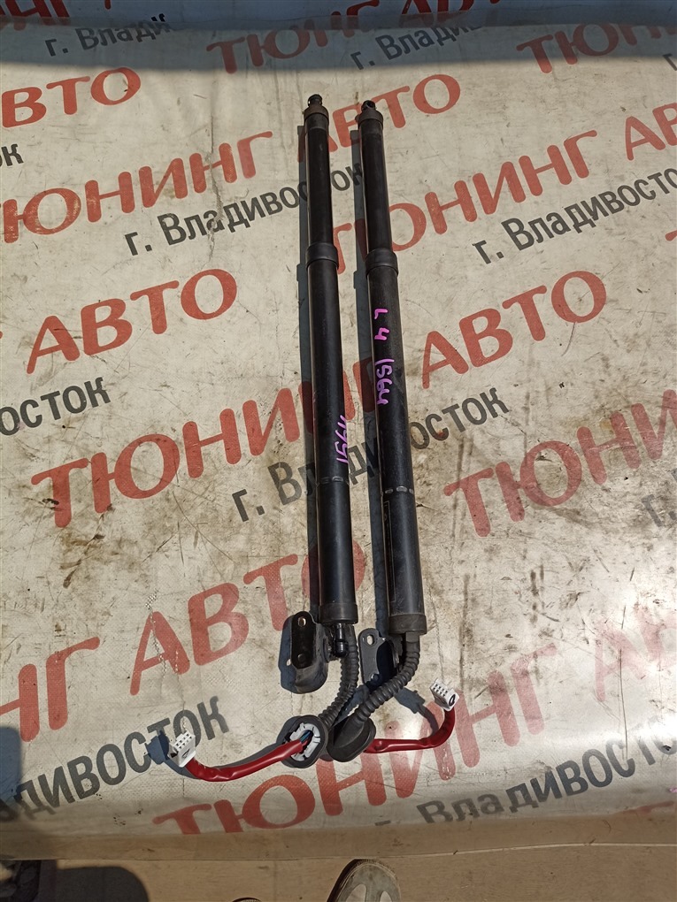 Амортизатор багажника Mazda Cx-5 KF2P SH-VPTS 2019 1564