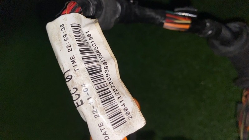 Проводка коса двери передняя правая Freelander 2005 L314 25K4F