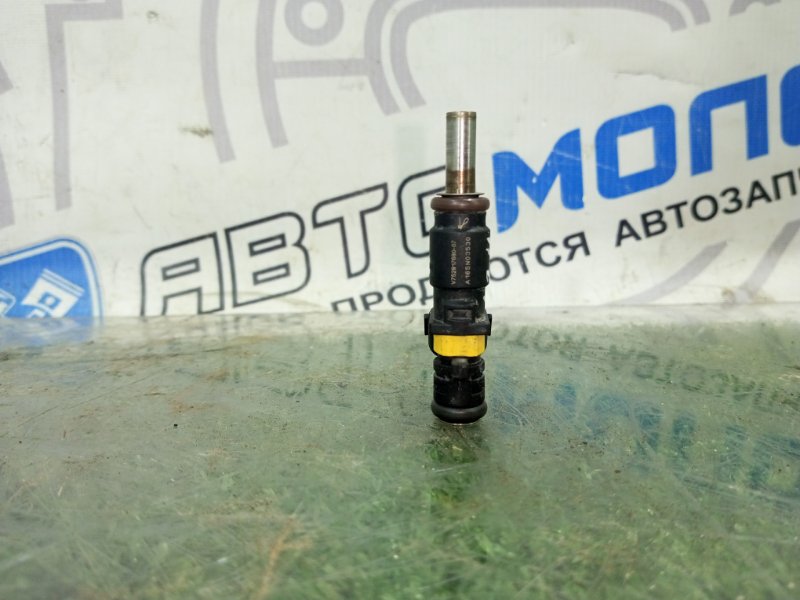 Форсунка топливная Peugeot 207 5FS (5F01) Форсунка топливная Peugeot 207 5FS (5F01)